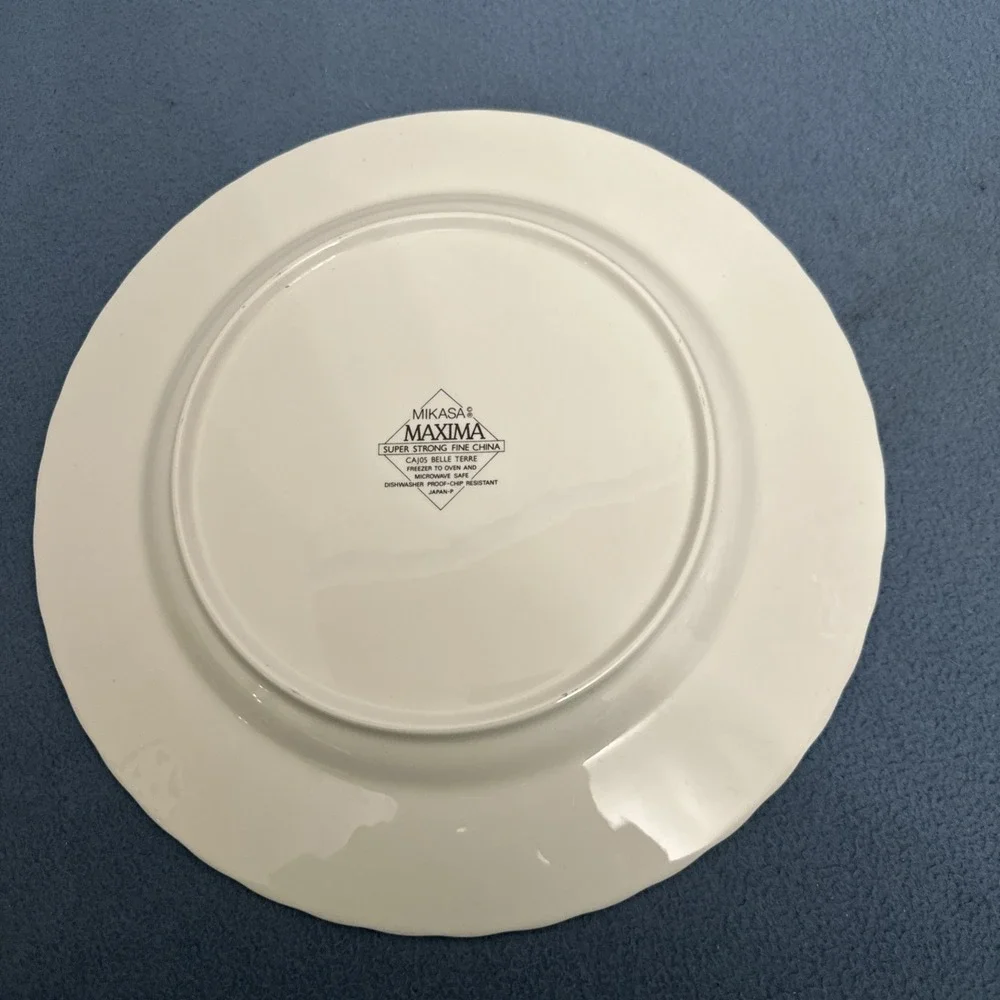 Mikasa Maxima Fine China Belle Terre 12